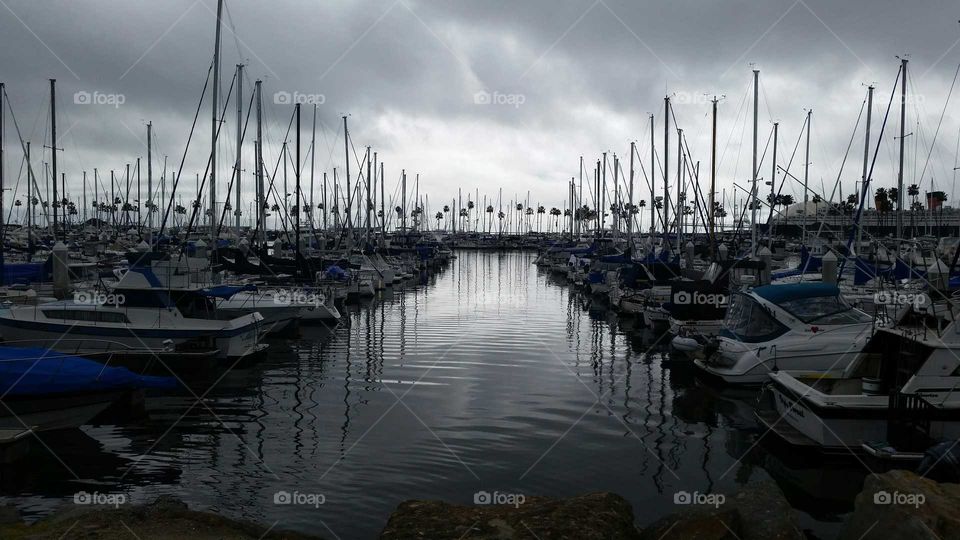 Lines of boats