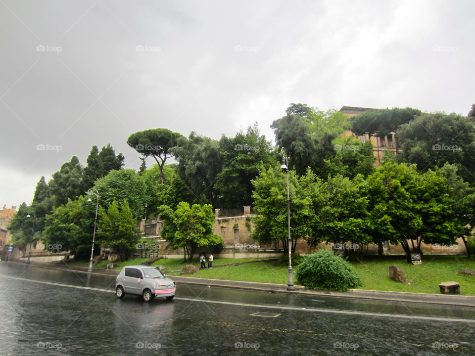 Tree, Travel, No Person, Water, Landscape