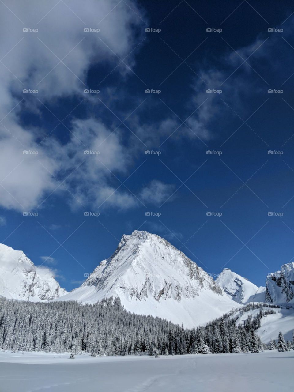 Beautiful White Mountain Tops