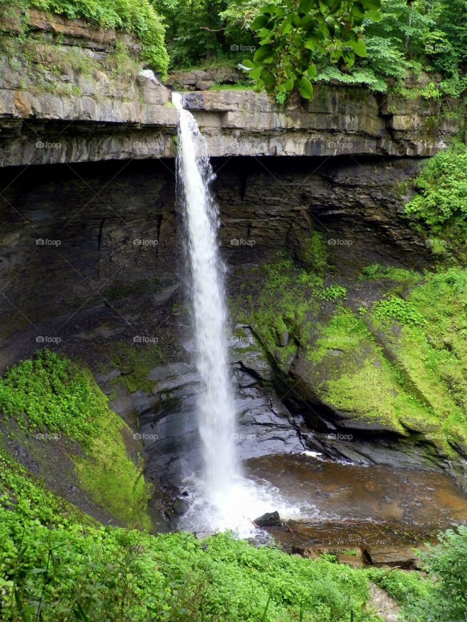 Woodland Waterfall. Carpenter Falls - New Hope, NY