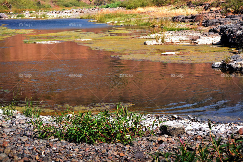 a wonderful theme in river