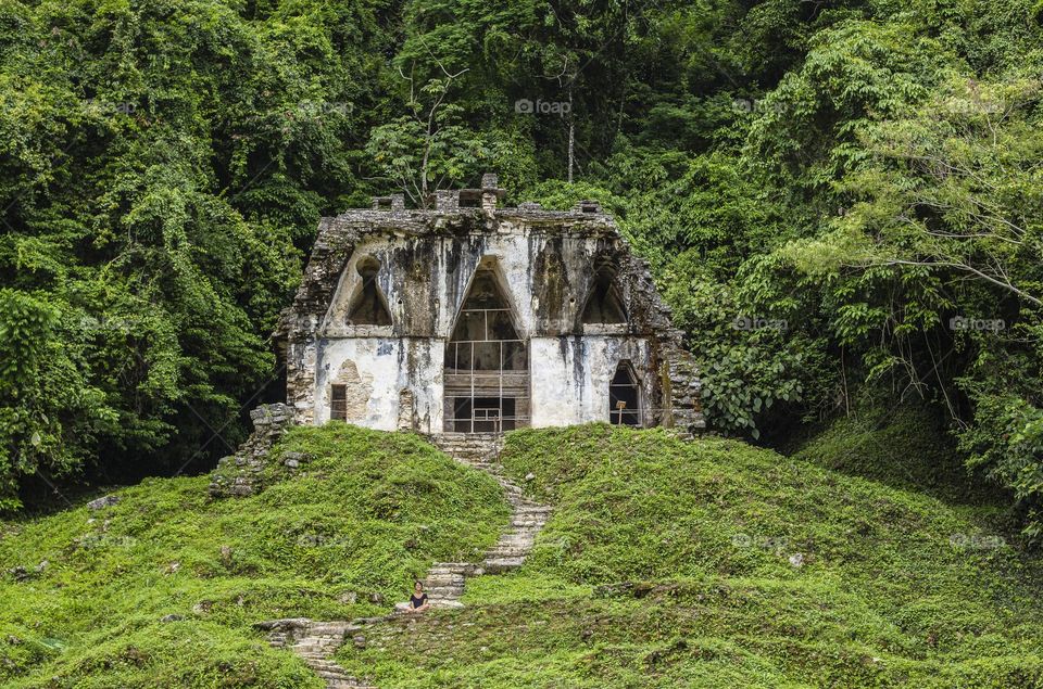 Magic house in the woods