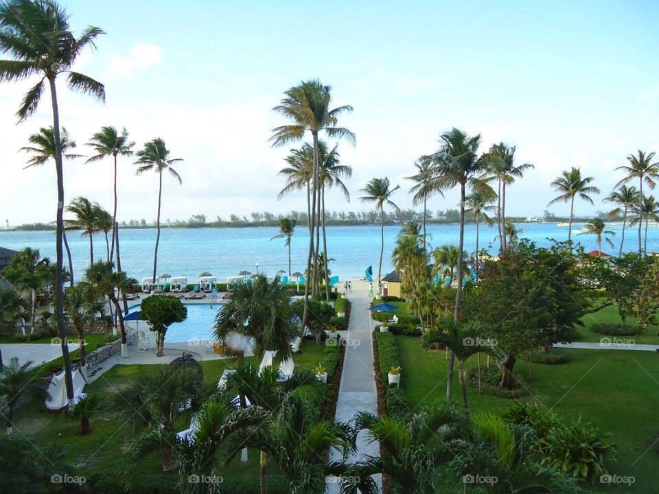 The Bahamas