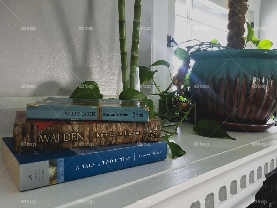 Classic, vintage novels sitting on a bright white shelf next to lush, green, indoor plants 