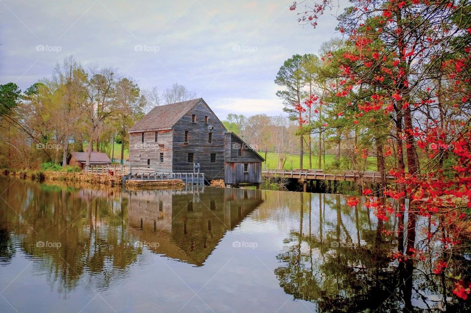 The only operational gristmill left in Wake County, North Caroline, Historic Yates Mill. 
