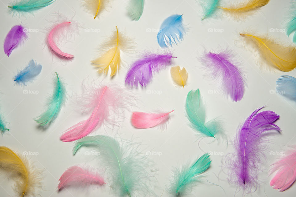 Colorful bird feathers on white background