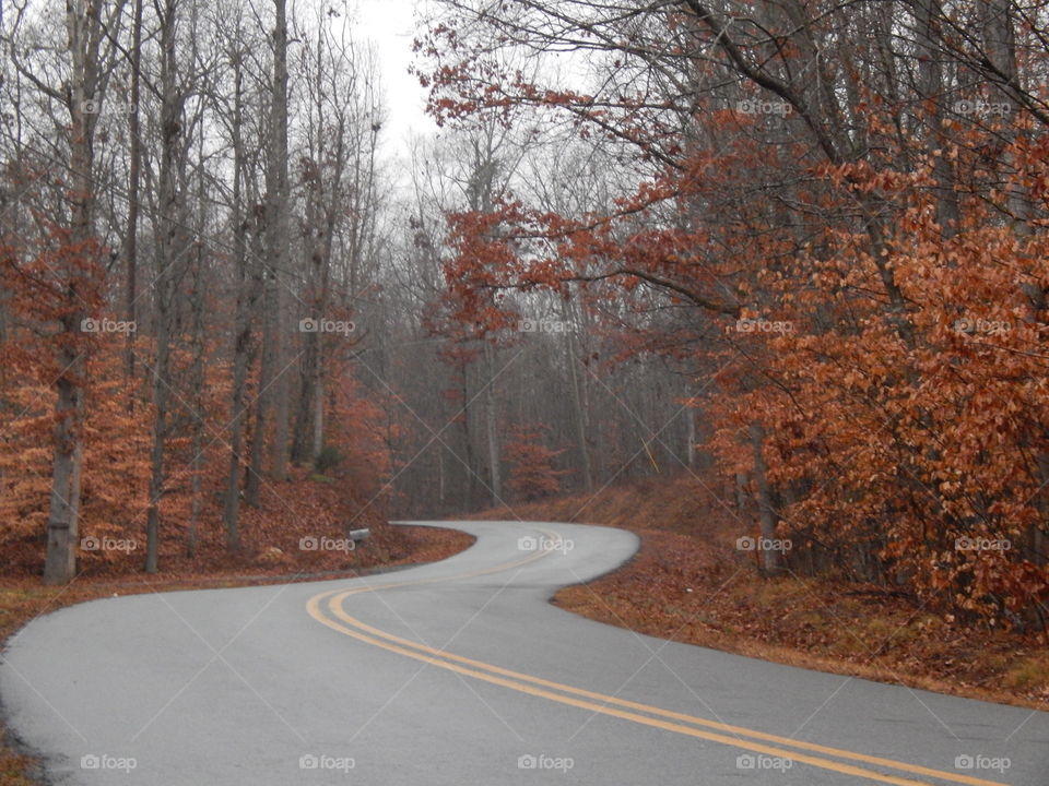 Georgia county road in the fall