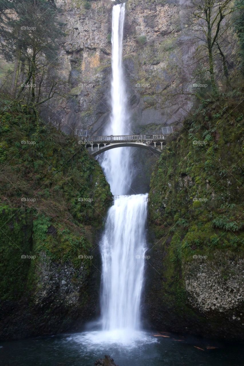 Scenic view of multnomah falls