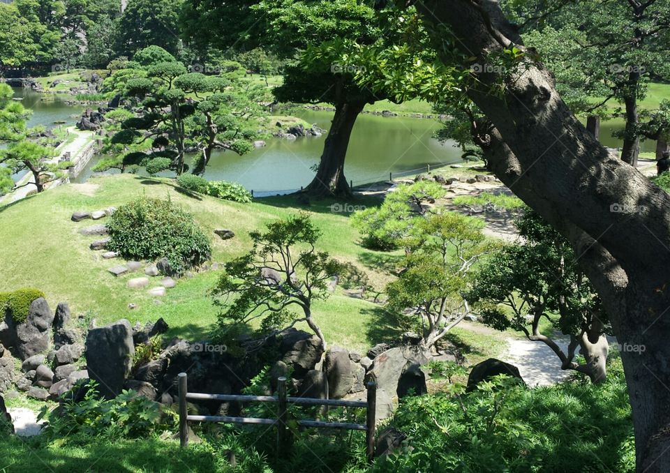 Japanese garden. An oasis in the busy city of Tokyo