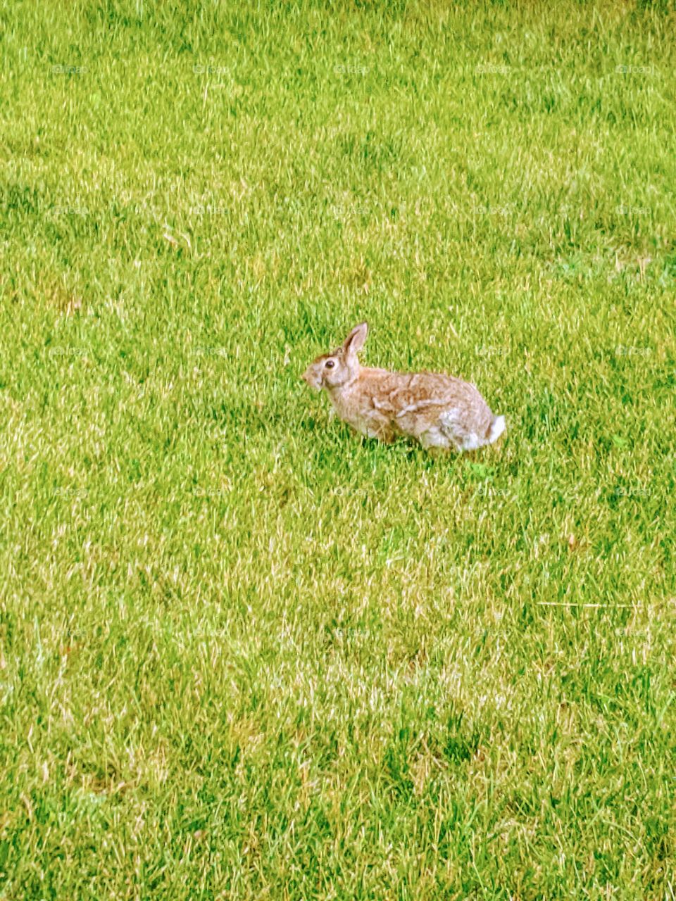 Evening Walk...It's the best time to enjoy the beauty of nature and moments !!! It's the time to get cool breeze that freshens up our mind and soul totally !!!