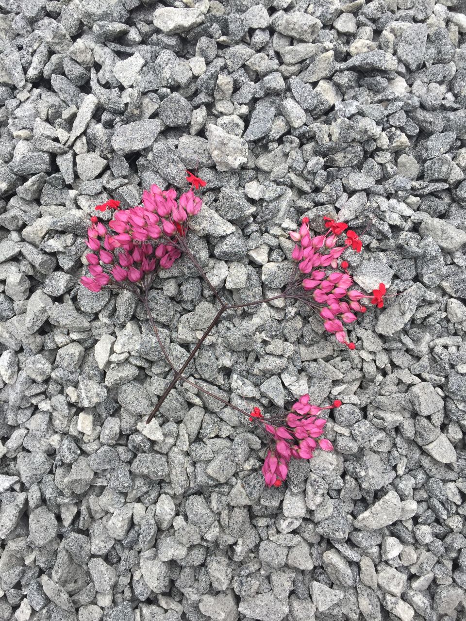 Colours breath life into our lives ❤️💛