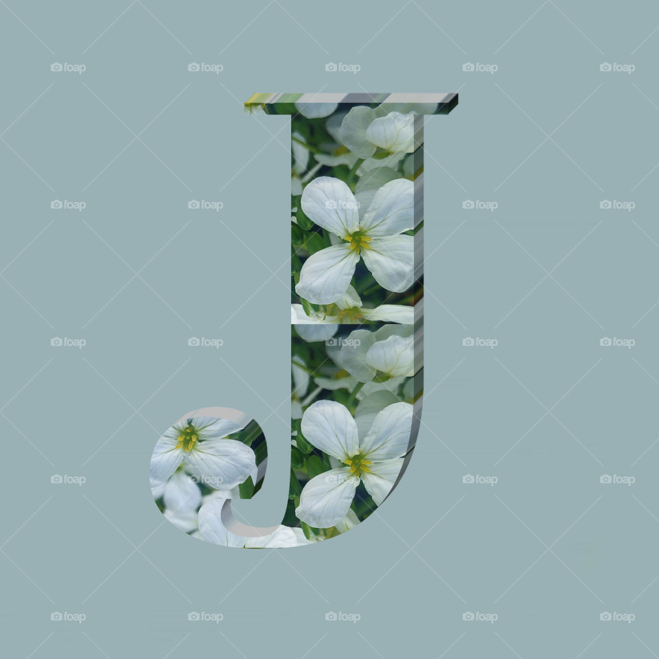J alphabet 3d rendering of vertical white flowers alphabet