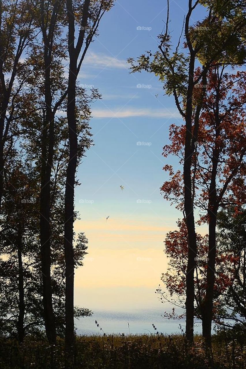 sky sunset leaf fall by sebastian.zetterdahl