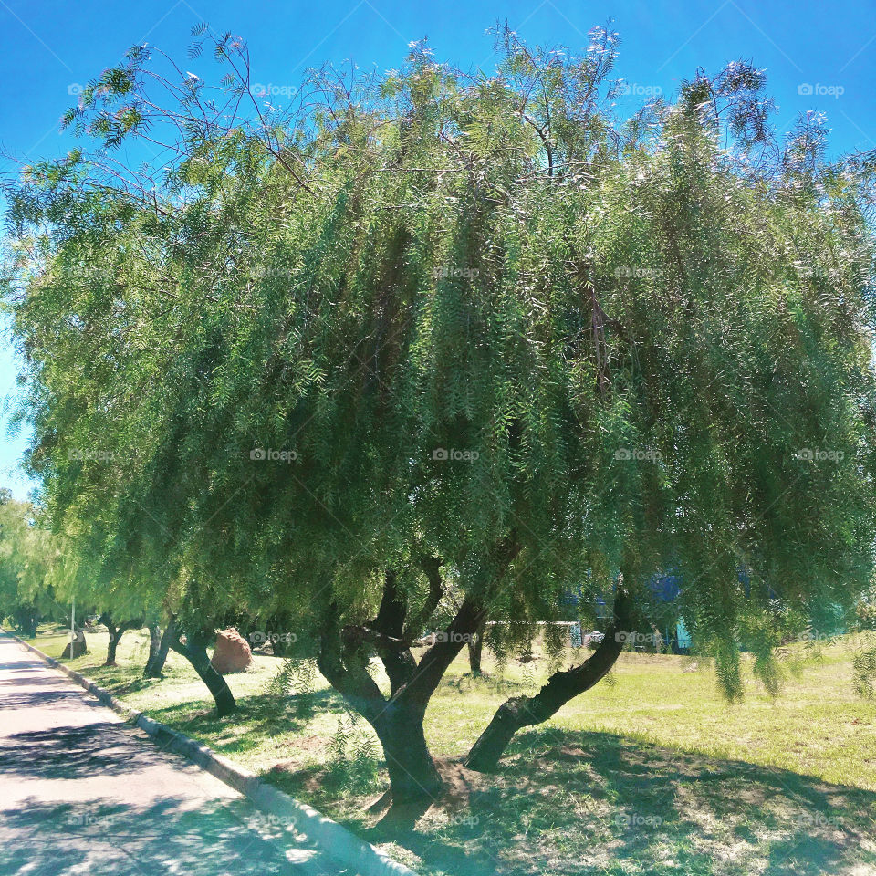 Viva a natureza: 11h30 e um imennnnso céu azul!
Calor em pleno inverno. 🥶 🔥.