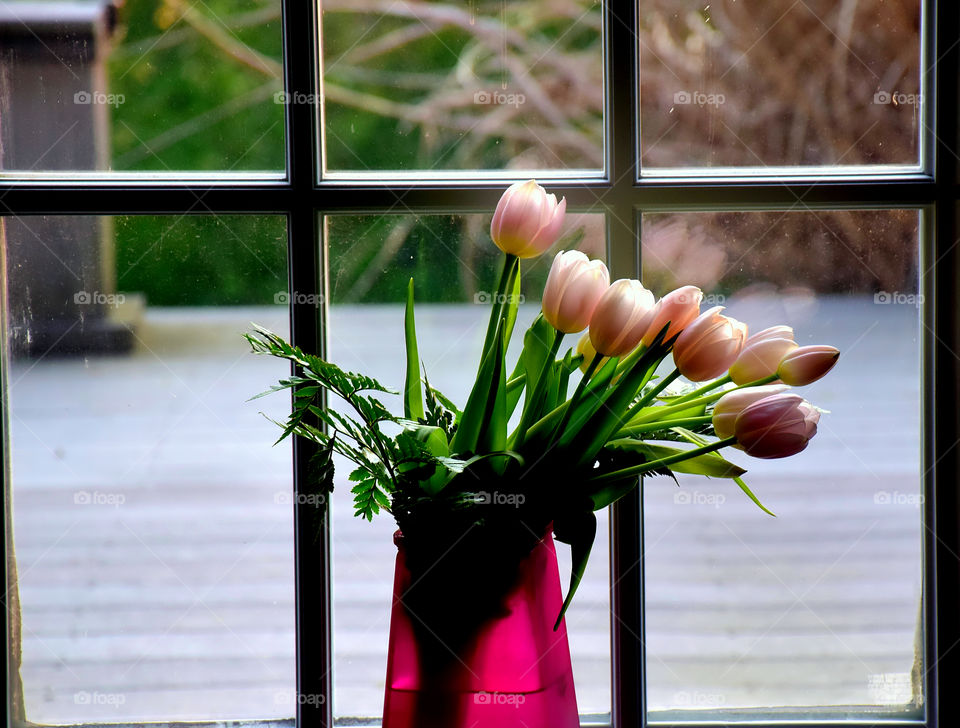 Flowers in vase on window sill