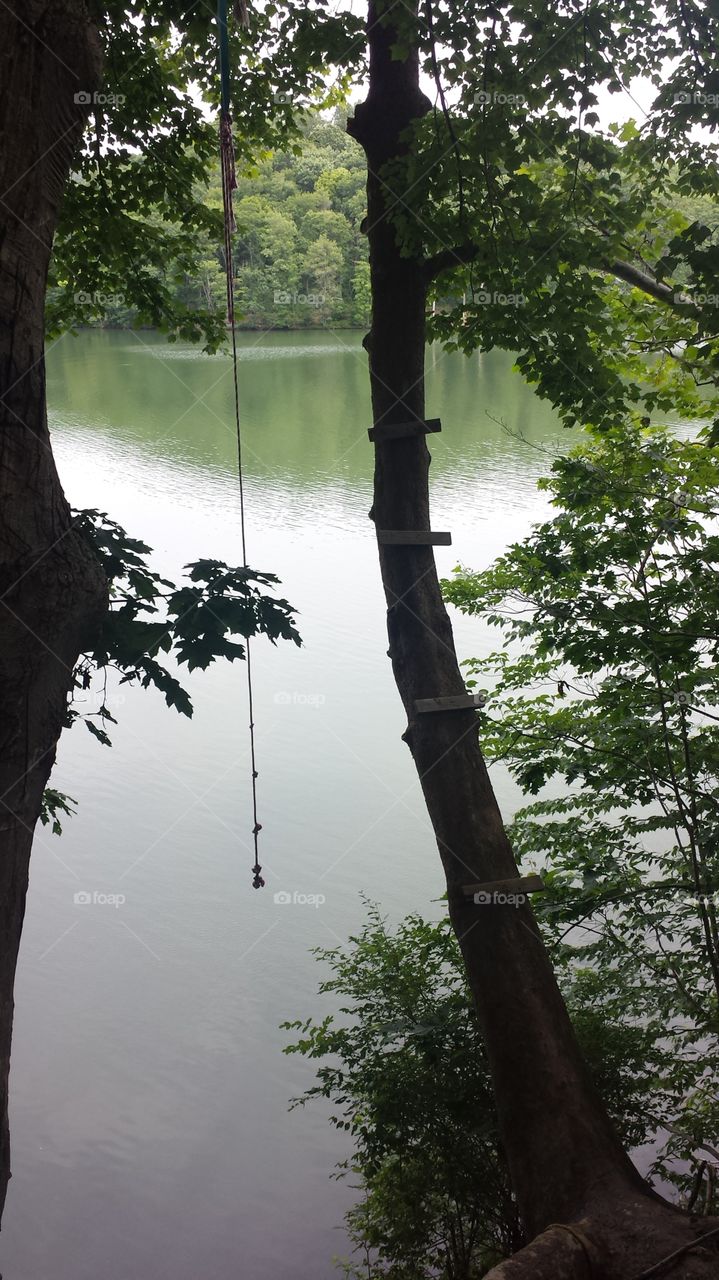 summer swing. Extremely sketchy rope swing that has been the fun of plenty of summers but not for the weak hearted. 