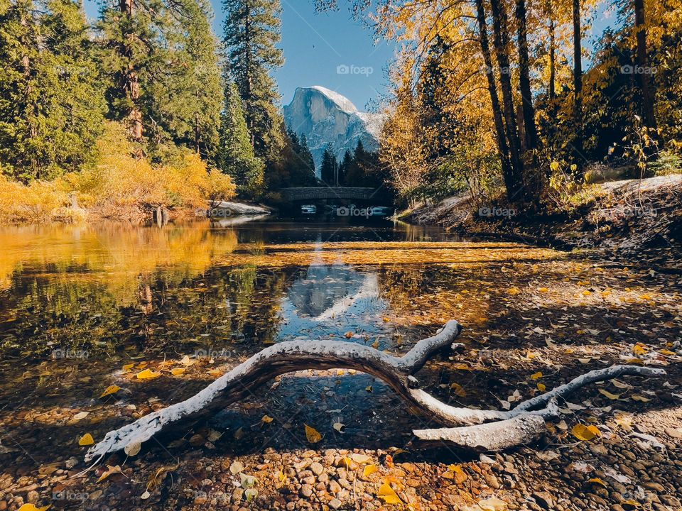 Autumn Half Dome with a bridge and a reflection as well as autumn coloured leaves in Yosemite National Park.