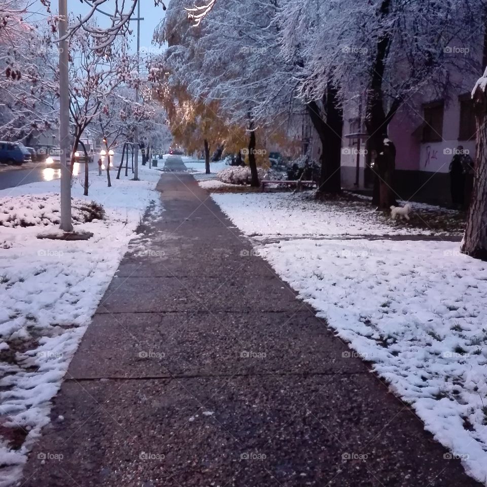 #snow#winter#street