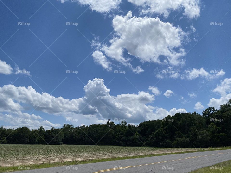 A beautiful country day so peaceful and I love it 