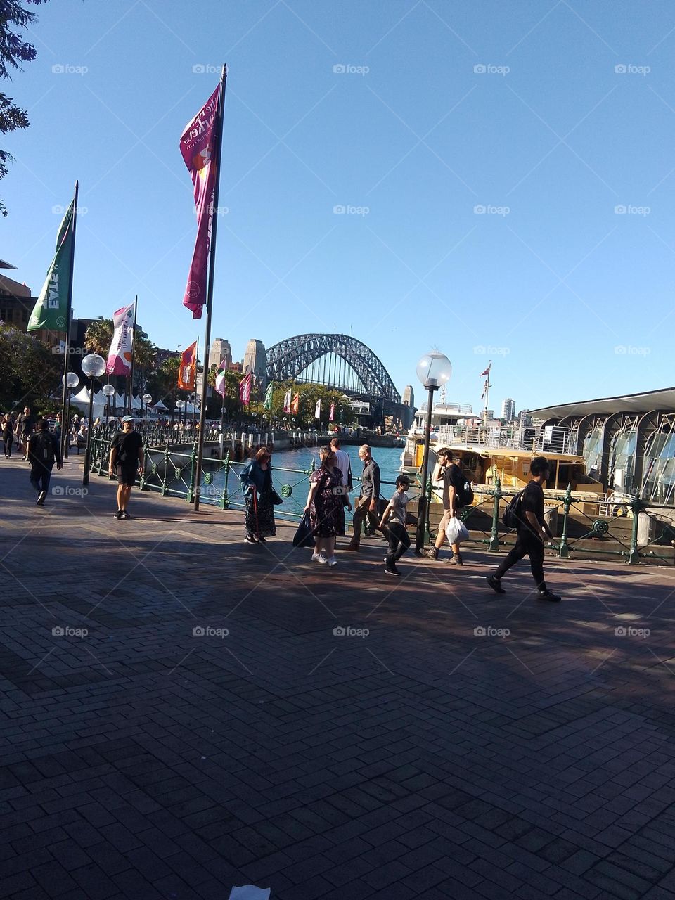 Sydney Harbour on A Sunday