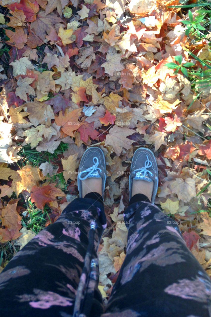 On a nature walk in canton, Michigan last fall. 