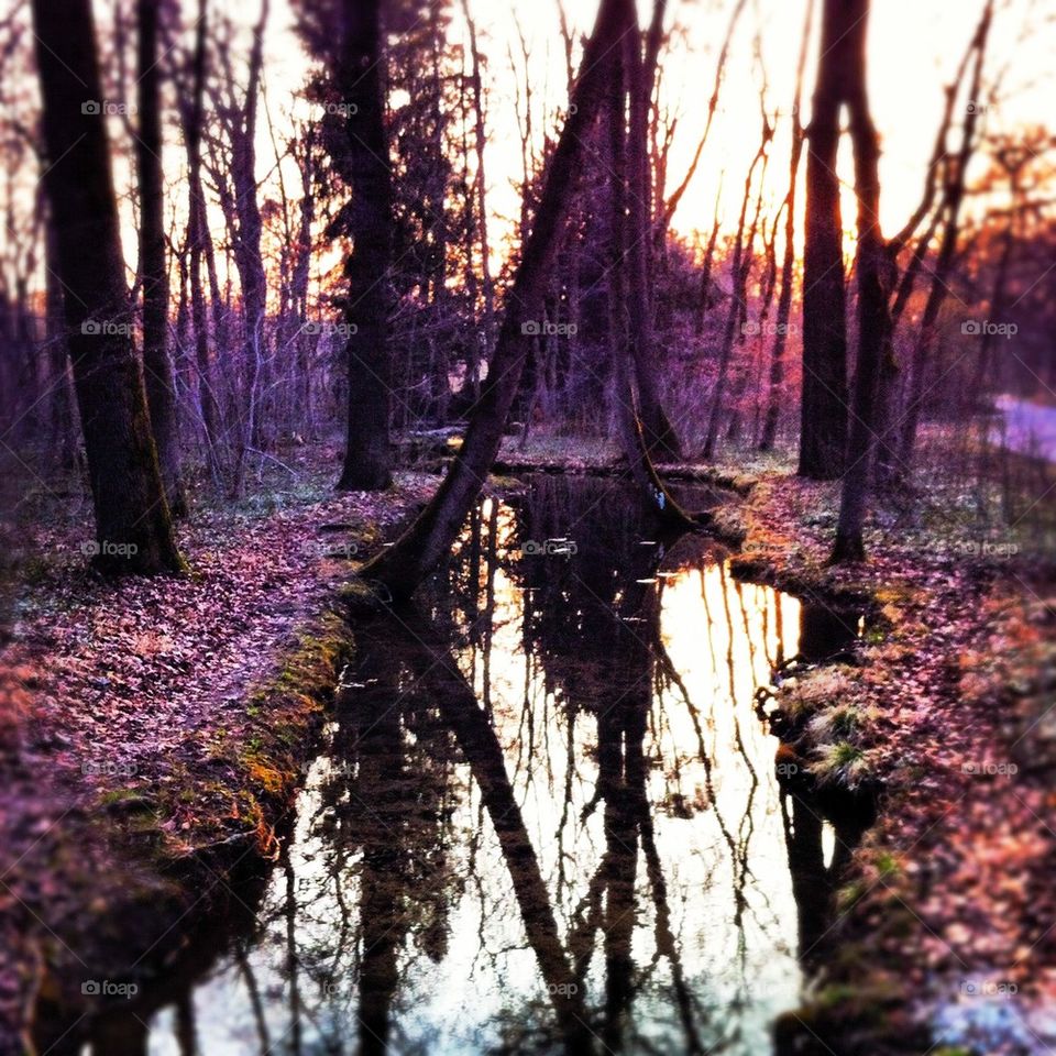 Nymphenburg park