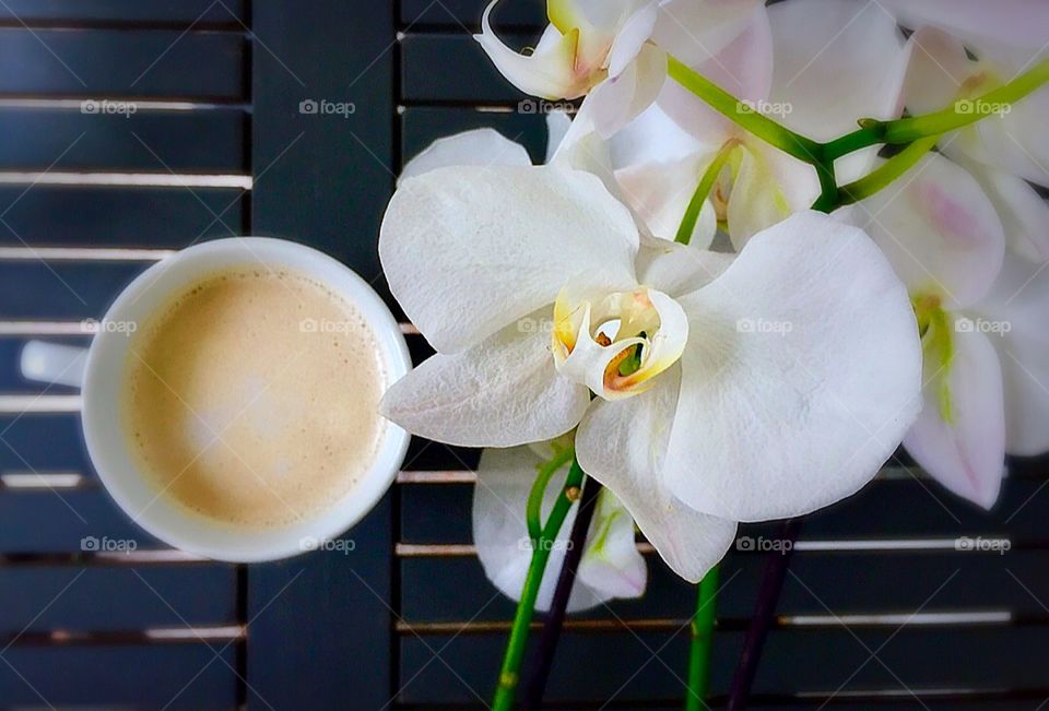 Coffee and orchid 