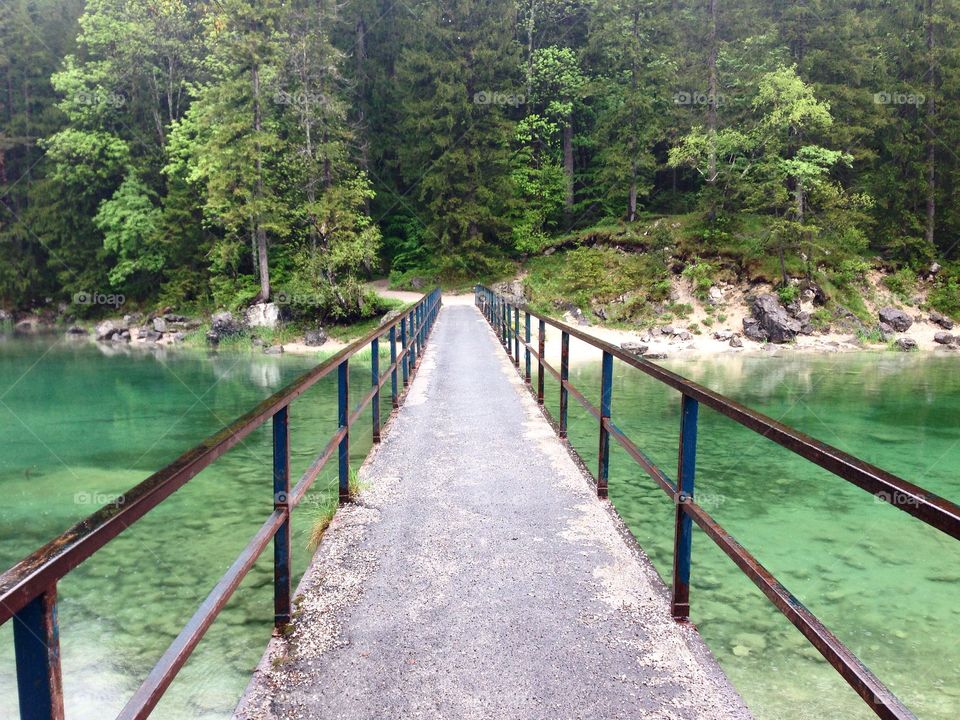 The walk. Eibsee, Germany