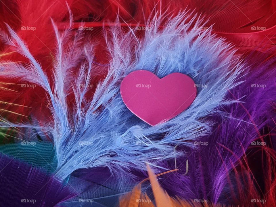 Love is like a feather, beautiful and soft