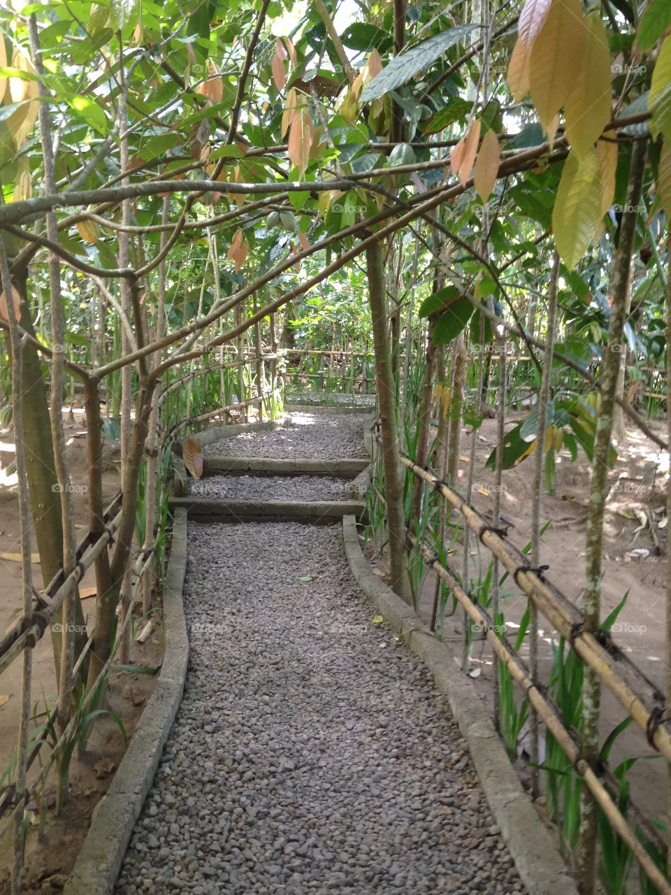 Path