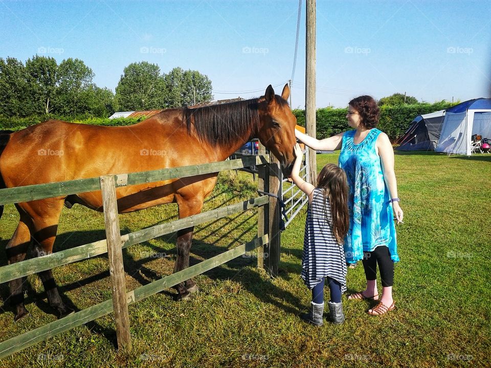 Saying hi to the horse