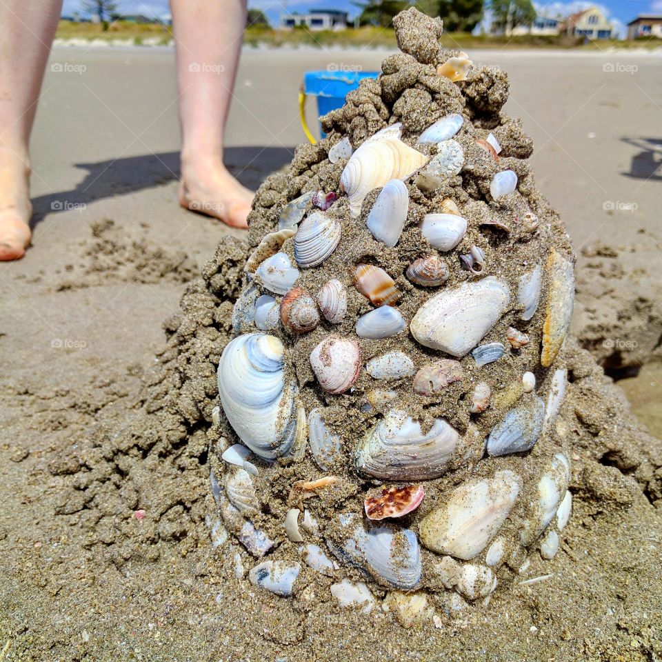 Beach, Seashell, Shell, Sand, Seashore