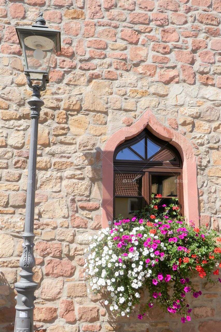 old window with flowers