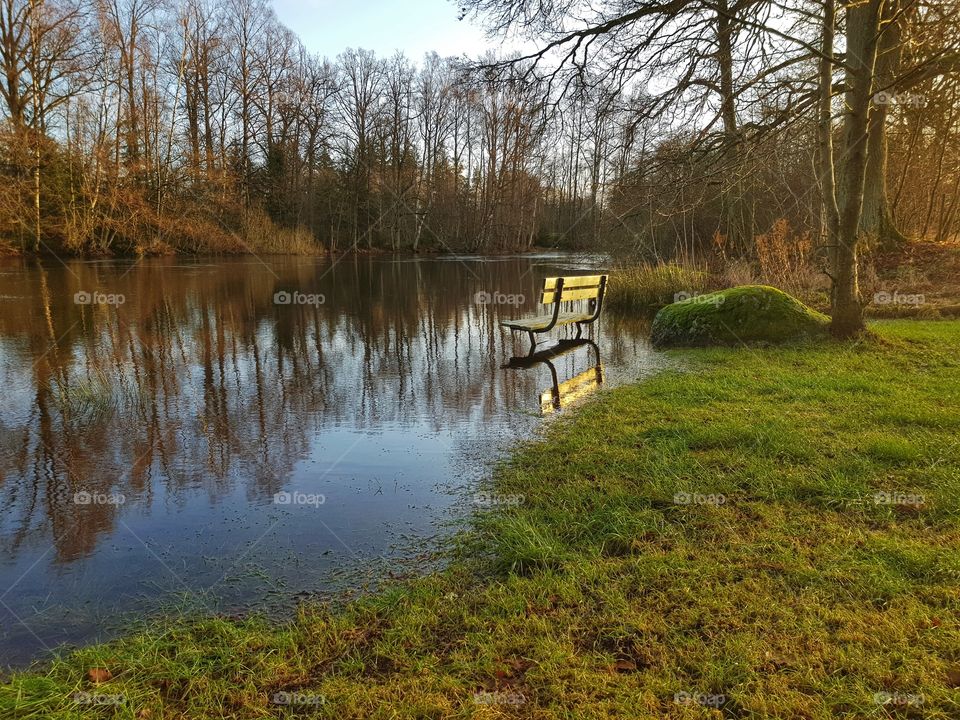 Nature reflections