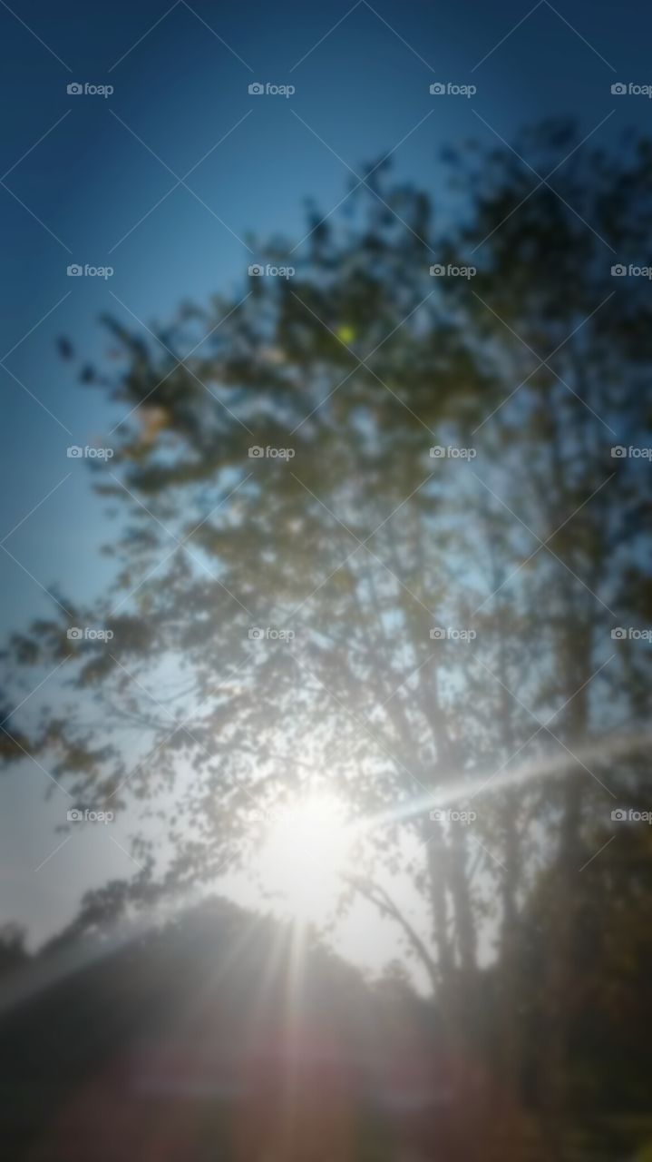 sun focus
