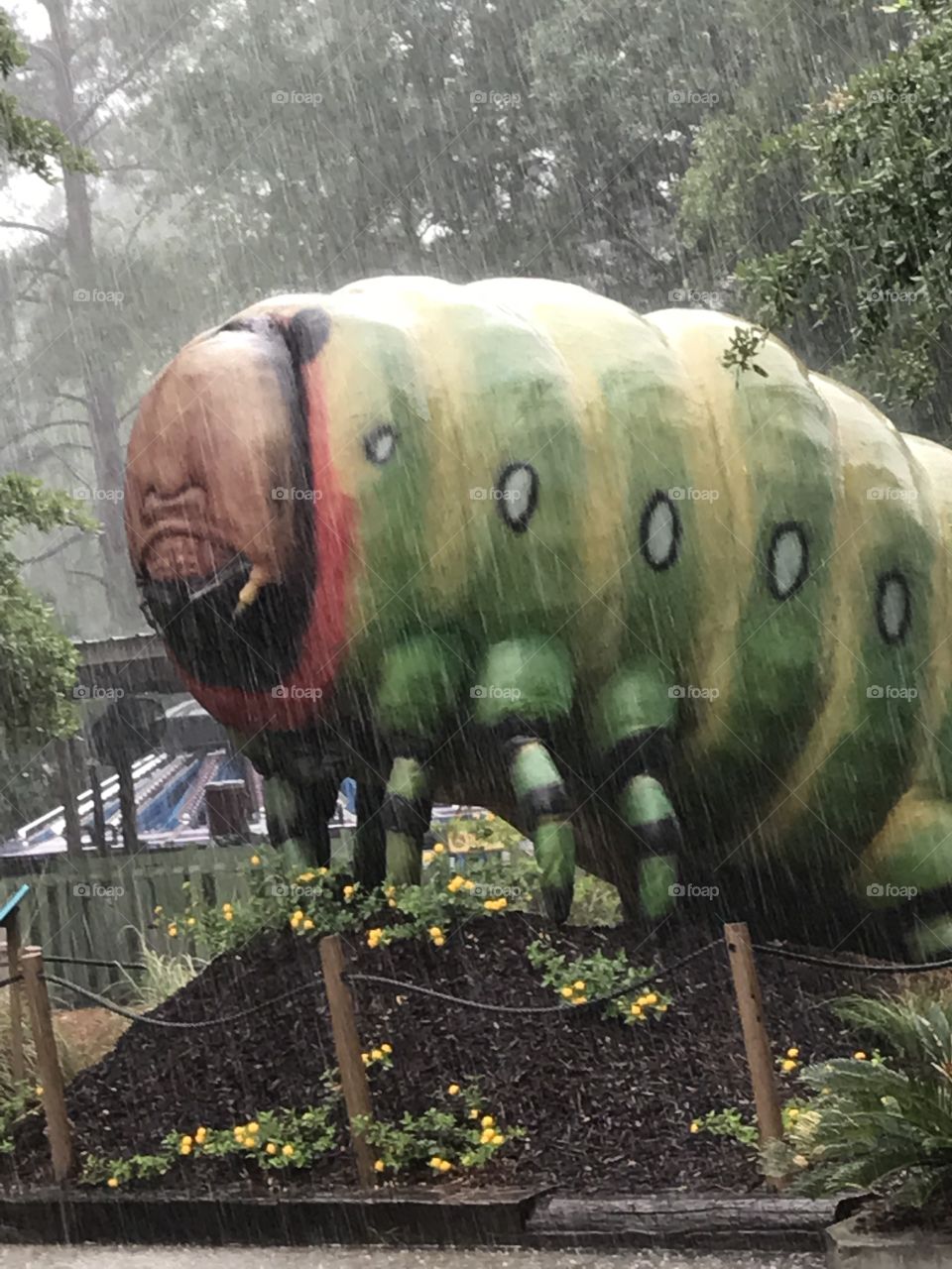 Bug on a rain