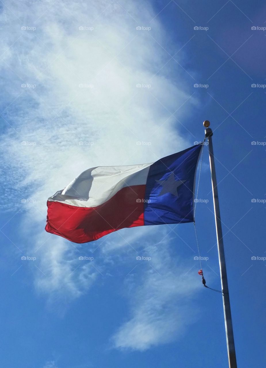 Native Texan. our glorious colors 