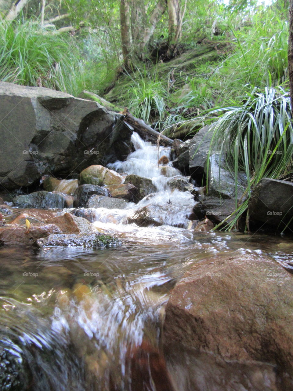 a tiny little steam coming from the top of the mountain, giving some cold, fresh water for the thirst of the hiker
