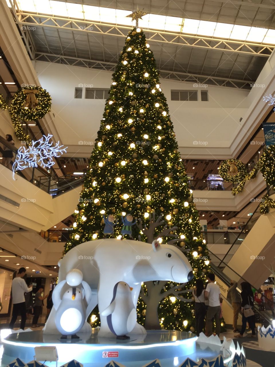 Christmas Tree，Christmas