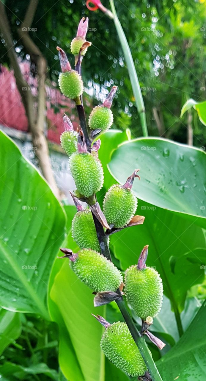 Be happy for all 🙂