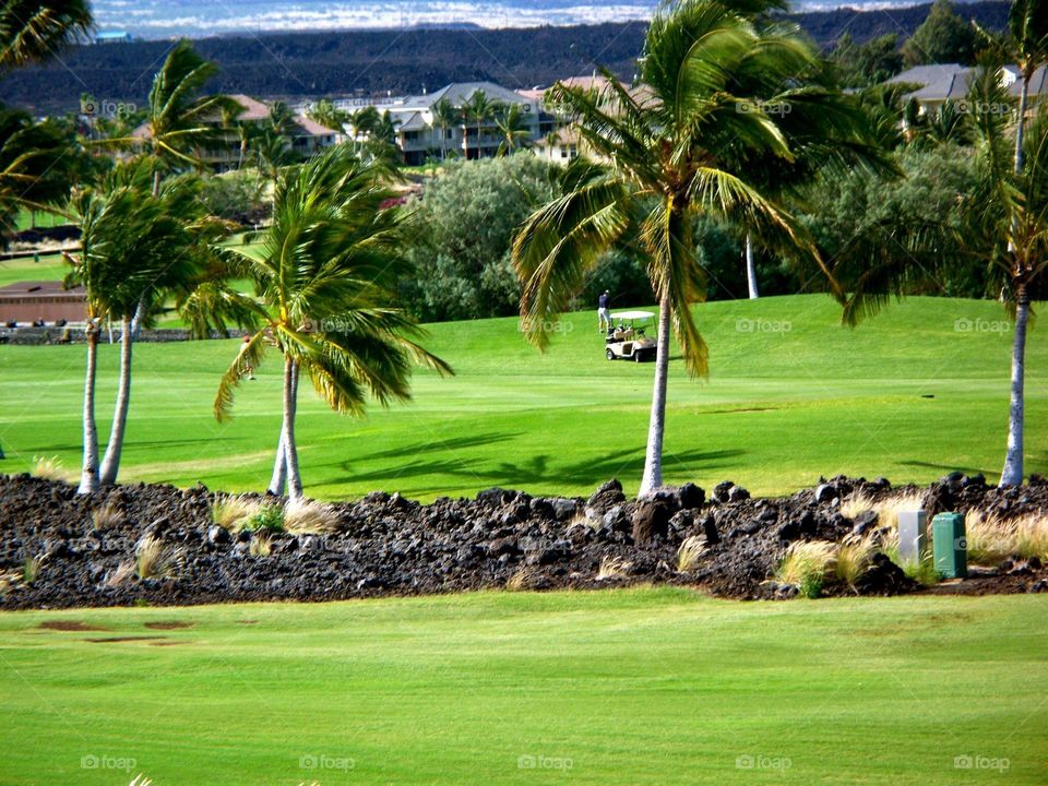 Beautiful tropical golf course