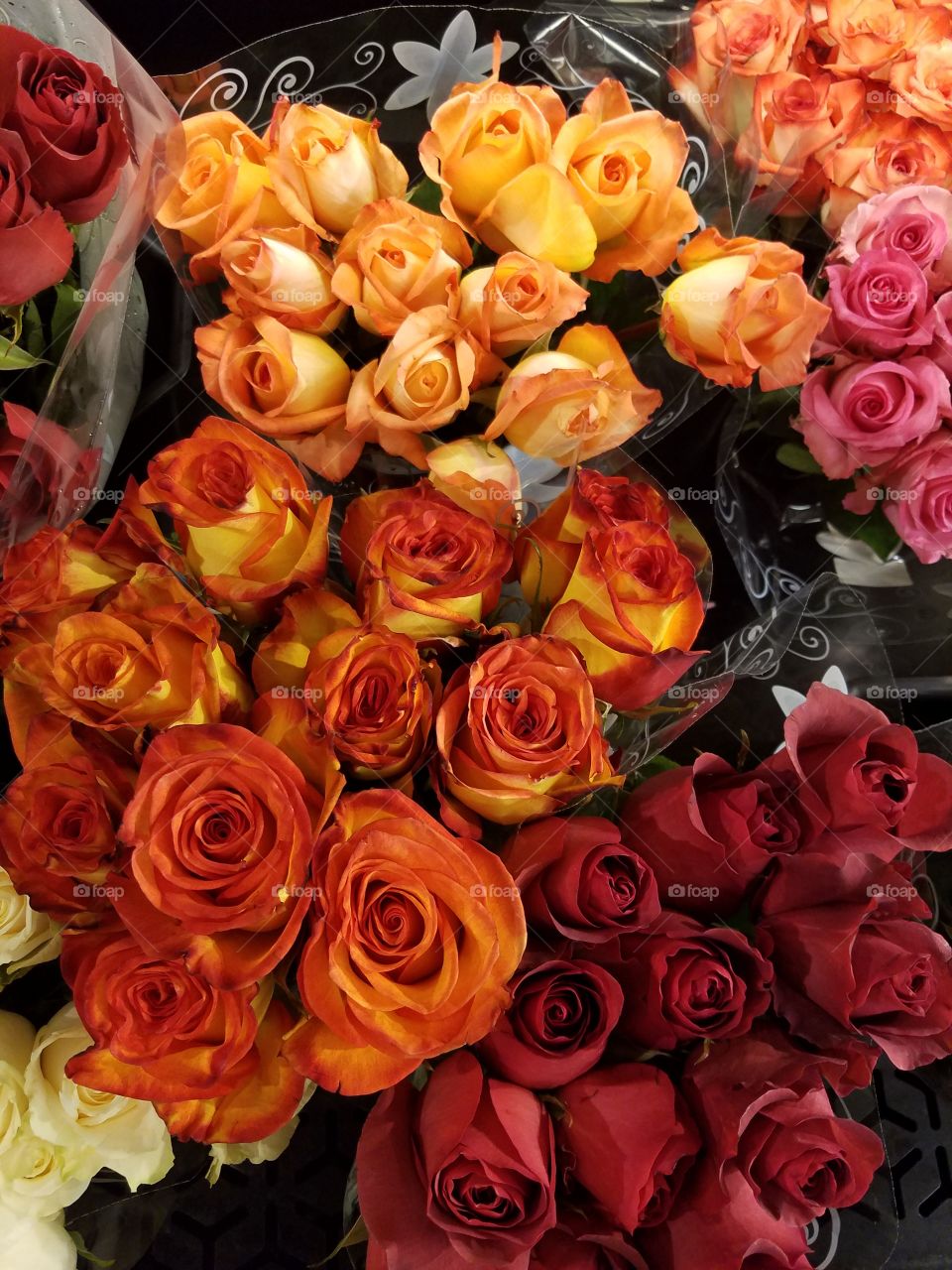 Rose, Bouquet, Love, Romance, Petal