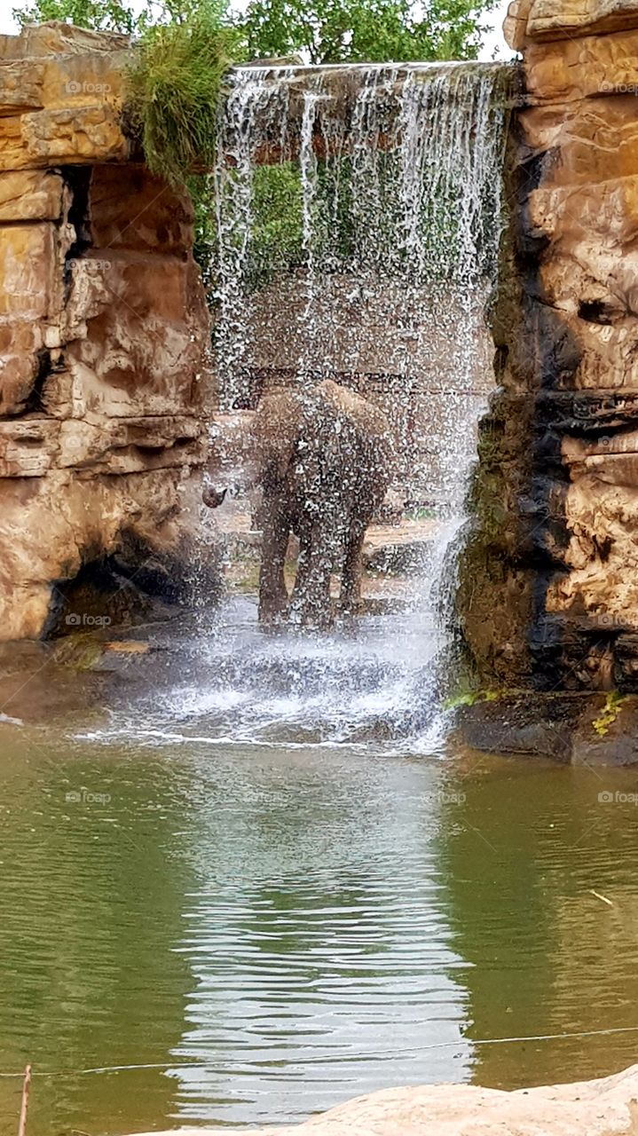 Elephant Waterfall