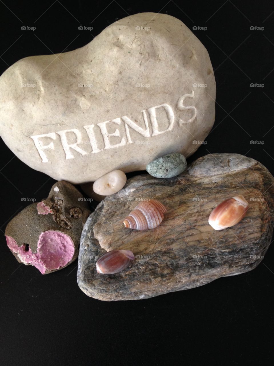 Rocks& shells