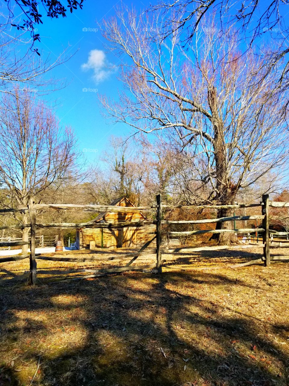 A walk through Williamsburg