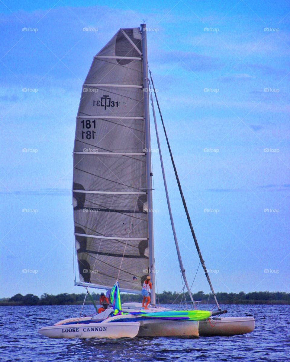 Sailboat, Sail, Catamaran, Yacht, Wind