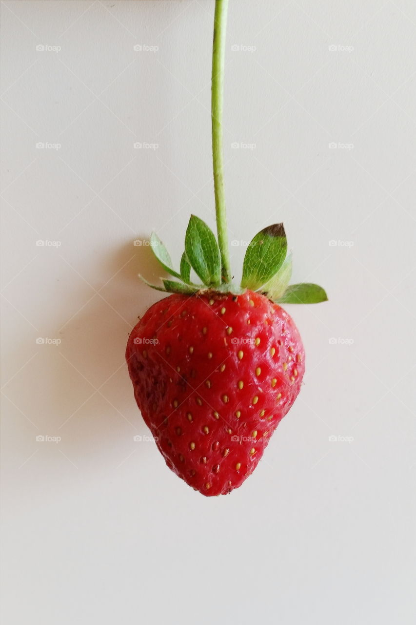 Last Strawberry