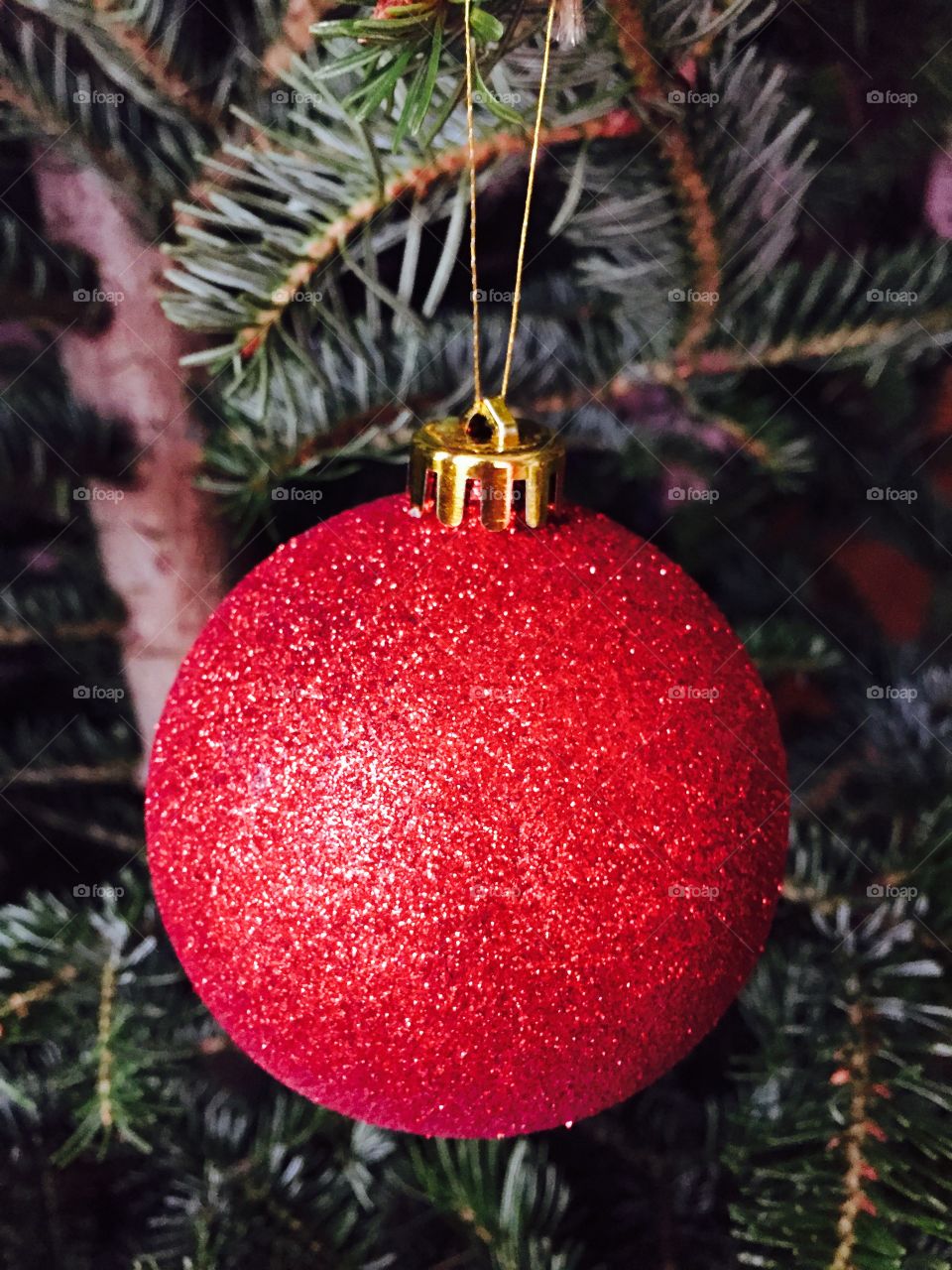 Red glittering Christmas globe hanging in the Christmas tree