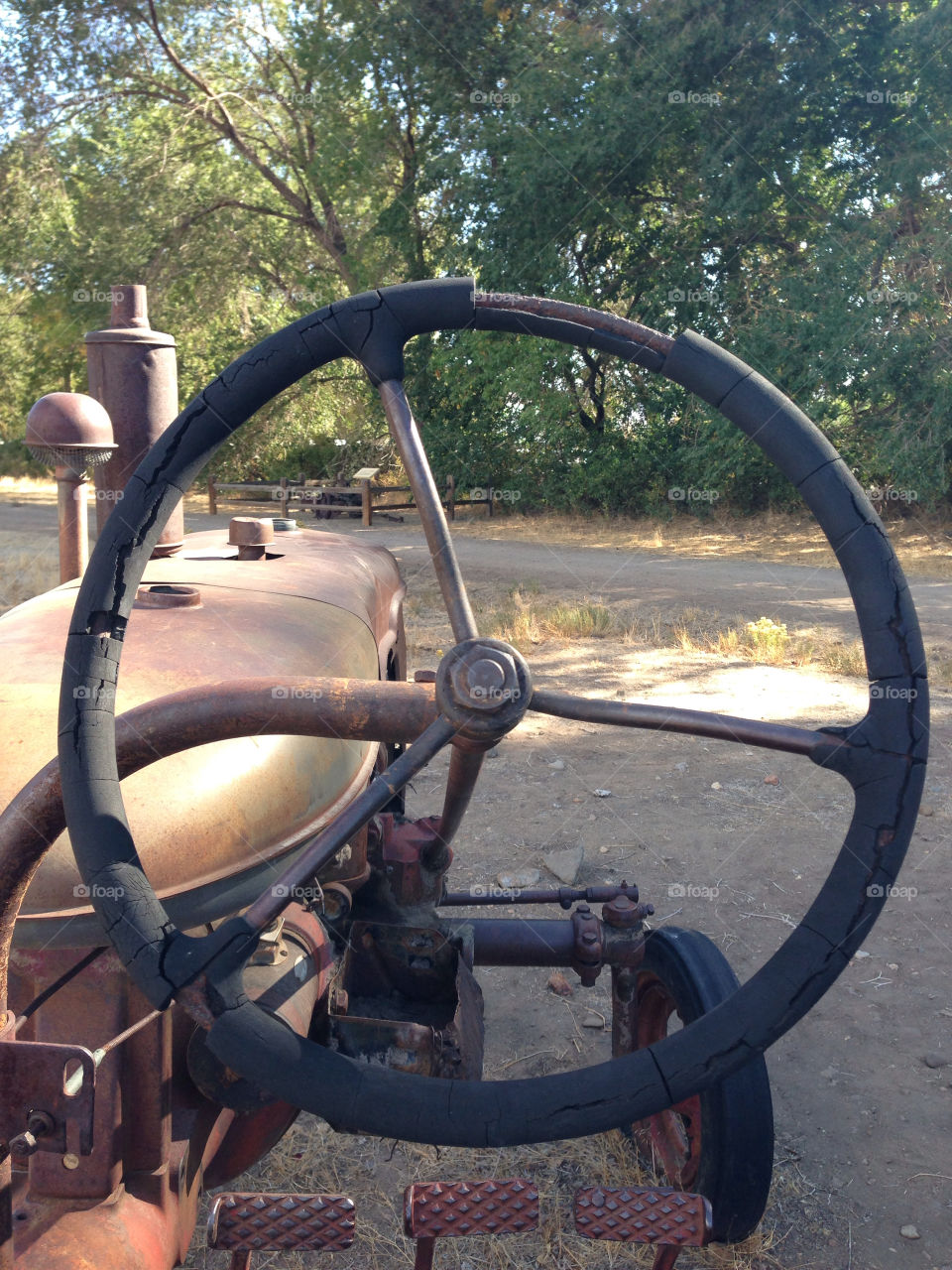 wheel equipment trees farm by melody