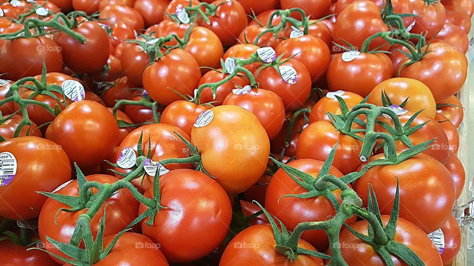 Tomatoes